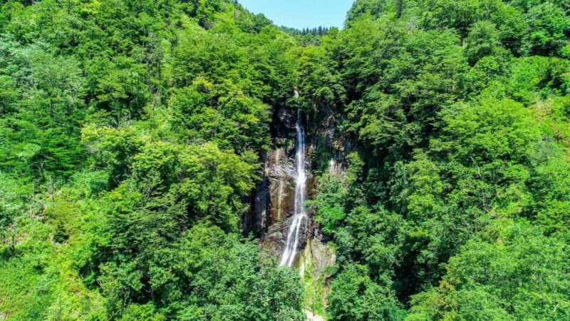 Batumi: Half Day Tour To Waterfalls With Activities - The Value of the Experience