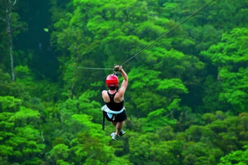 Batumi: Mtirala ATV, Buggy Maverick & Horse Riding Trip - Pricing and Value