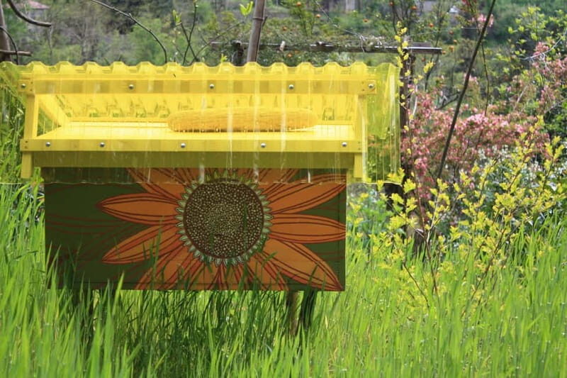 Batumi: Sweet Excursion and Mtirala Forest - FAQ