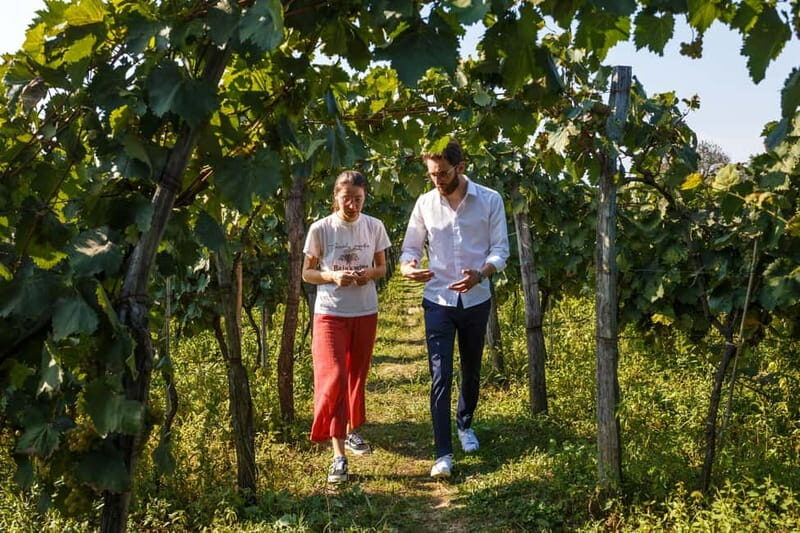 Batumi to Kutaisi, Wine & Dine - What’s the Value?