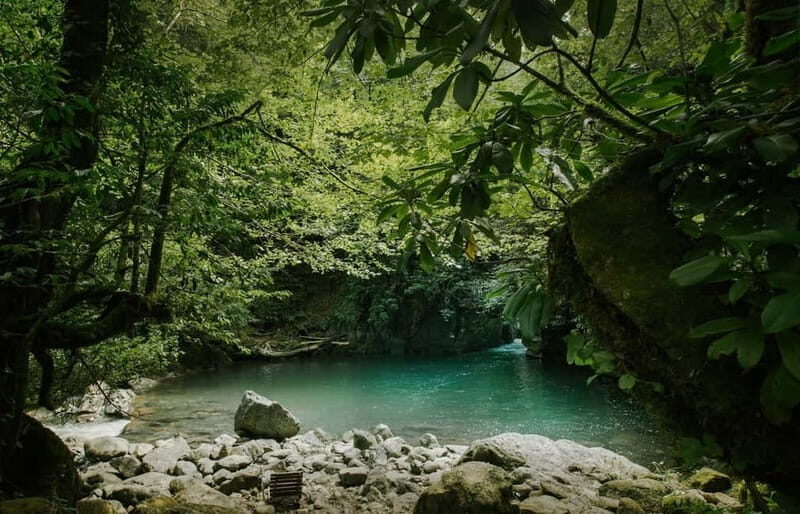 Batumi to Mtirala National park - Half day hiking group tour - What to Expect on the Tour