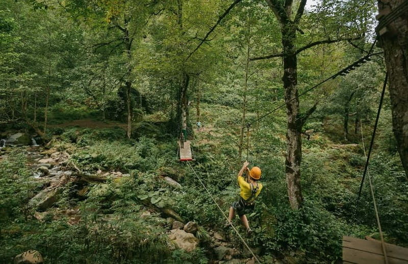 Batumi to Mtirala National park - Half day hiking group tour - The Experience and Reviews
