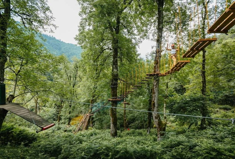 Batumi to Mtirala National park - Half day hiking group tour - Final Thoughts