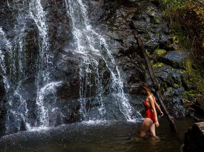 Batumi, Waterfalls & Folklore - group tour from Kutaisi - A Deep Dive Into the Experience