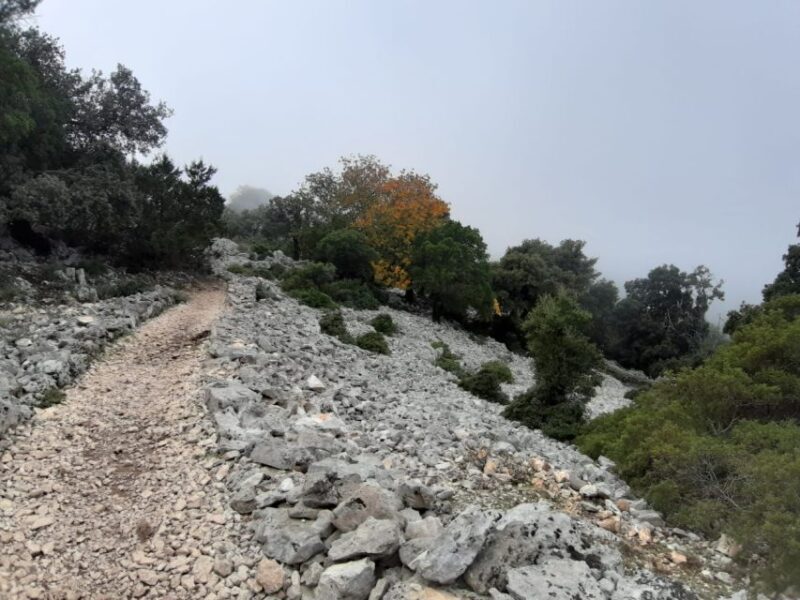 Baunei: Cala Goloritzè Trekking Tour with A Guide - Wrapping Up