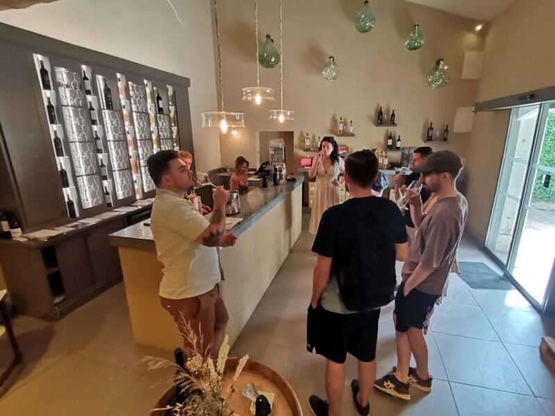 Baux and Saint Rémy de Provence: History Wine and Landscapes - The Practical Side: What to Expect