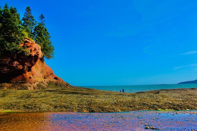 Bay Of Fundy Guided Tour - Introduction