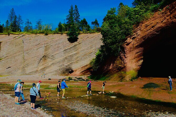Bay Of Fundy Guided Tour - Key Points