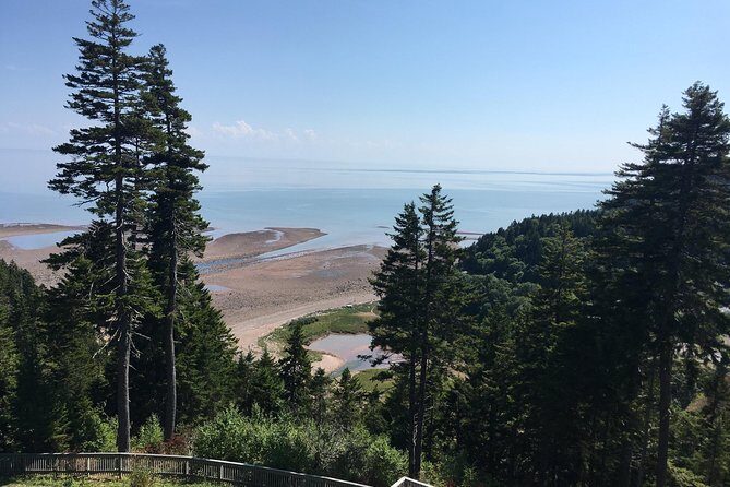 Bay of Fundy Tour by Bus - Final Thoughts