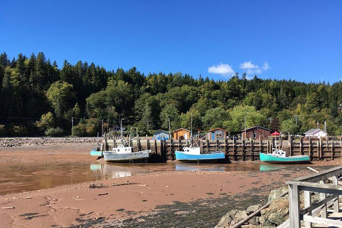 Bay of Fundy Tour by Bus - FAQ