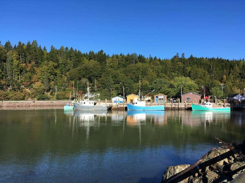 Bay of Fundy Tour by Luxury Car - What to Expect from the Bay of Fundy Luxury Tour