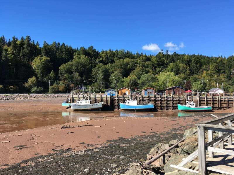 Bay of Fundy Tour by Luxury Car - How It Compares to Other Options