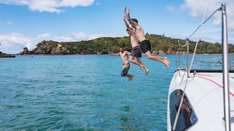 Bay of Islands 2-Hour Sundowner Evening Sailing Cruise - The Experience on Board