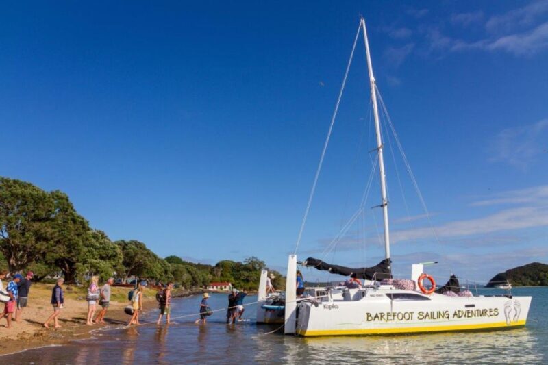 Bay of Islands 2-Hour Sundowner Evening Sailing Cruise - Who Should Consider This Cruise?