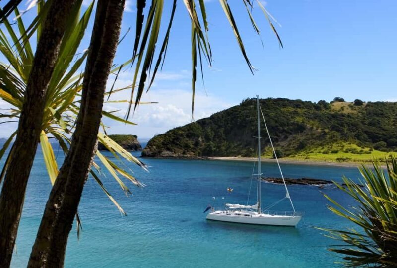 Bay of Islands: Awesome Day Sailing Tour with Island Stop - Why This Tour Works Well