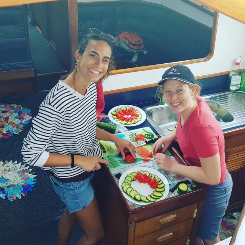 Bay of Islands: Awesome Day Sailing Tour with Island Stop - Final Thoughts: Who’s This Tour Best For?