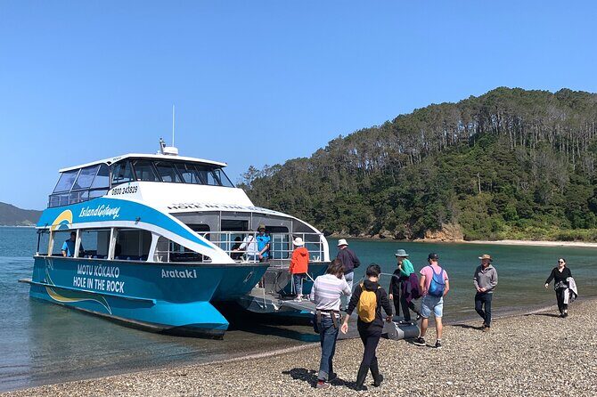 Bay of Islands Cruise & Island Tour - Snorkel, Hike,Swim,Wildlife - Deep Dive into the Experience