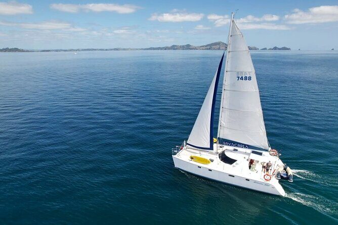 Bay of Islands: Day Sailing Cruise with Island Stop and Lunch - Ready to set sail?