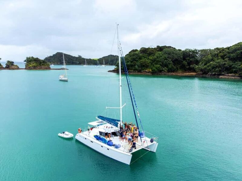 Bay of Islands: Day Sailing Cruise with Island Stop & Lunch - Who Is This Tour Best For?