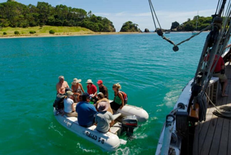 Bay of Islands: Full-Day Tall Ship Sailing Excursion - Who Is This Tour Best For?