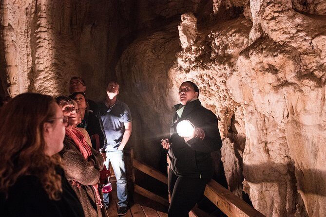 Bay of Islands Glow Worm Caves & Scenic Shore Excursion - What to Expect from the Itinerary