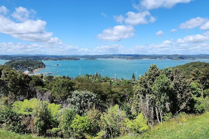 Bay of Islands Scenic Tour - Practical Details