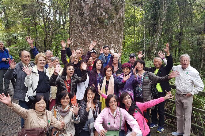 Bay of Islands Shore Excursion: Puketi Rainforest Guided Walk - FAQ