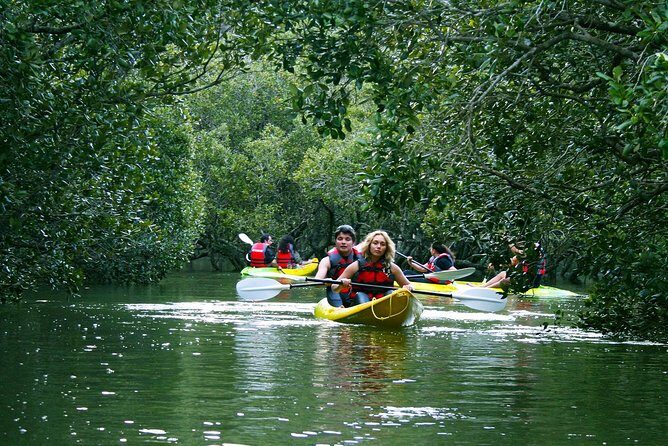Bay of Islands Waterfall Explorer Kayaking Tour - Who Is This Tour Best For?