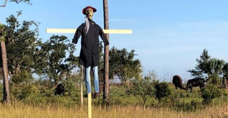 Bay Saint Louis, MS: The Haunted Bayou Cruise - Key Points