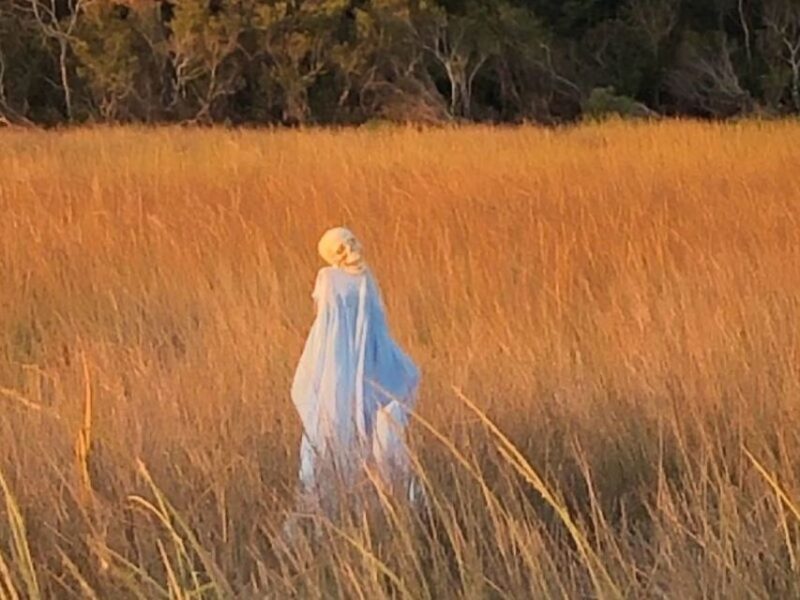 Bay Saint Louis, MS: The Haunted Bayou Cruise - How the Experience is Structured