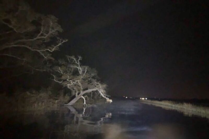 Bay Saint Louis, MS: The Haunted Bayou Cruise - The Sum Up