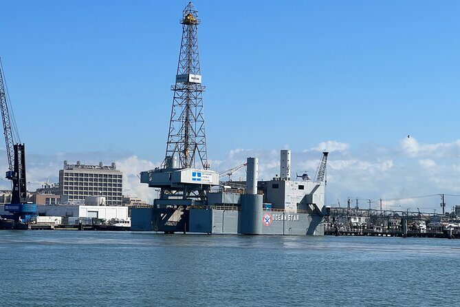 Baywatch Dolphin Tour - What to Expect: A Relaxed but Engaging Water Ride