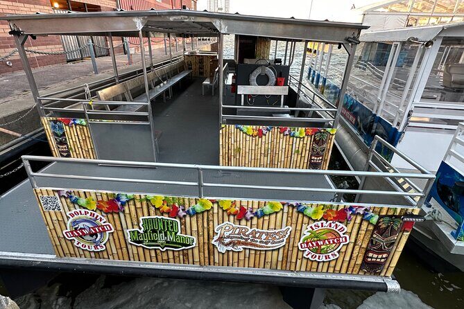 Baywatch Dolphin Tour - Final Thoughts: Who Will Love the Baywatch Dolphin Tour?