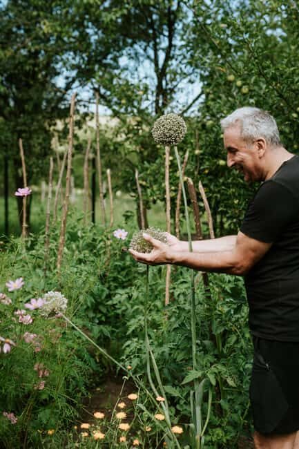 Bazna: Saxon Dinner in a rural house from the village - Final Thoughts