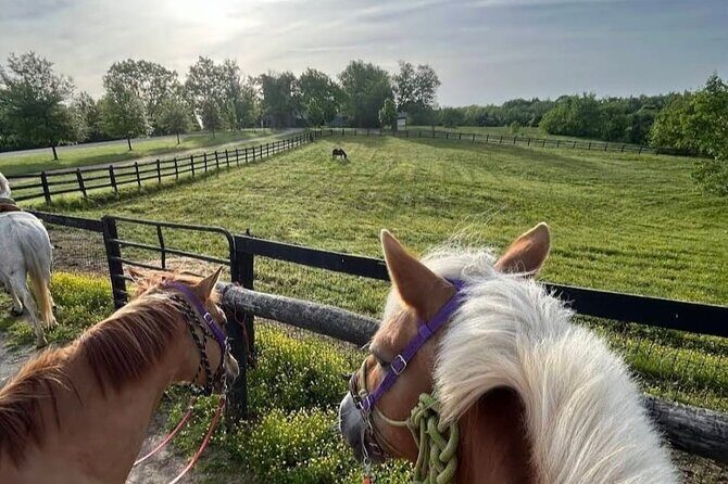 B&C horseback riding in nature and Keeneland racetrack. - What to Expect from the Tour