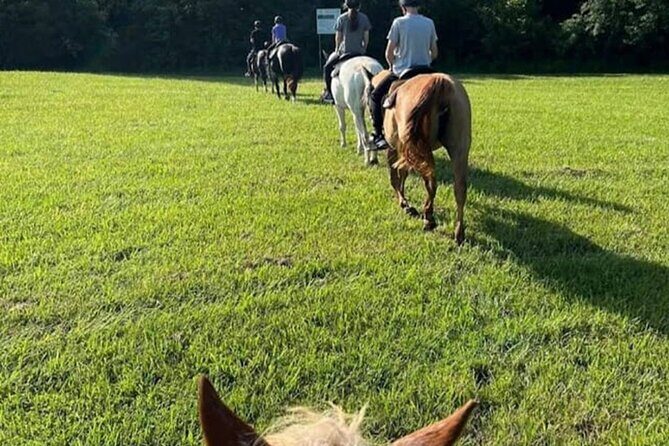 B&C horseback riding in nature and Keeneland racetrack. - The Keeneland Experience