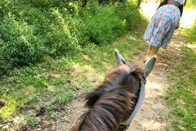 B&C horseback riding in nature and Keeneland racetrack. - Transportation and Logistics