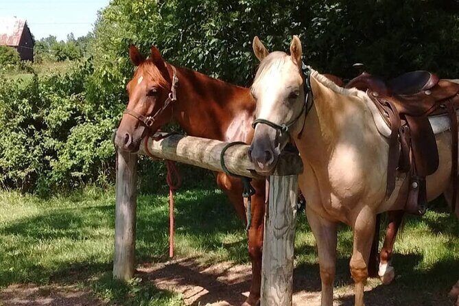 B&C horseback riding in nature and Keeneland racetrack. - FAQ