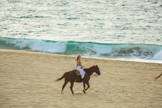 Beach Adventure Off Road ATV Ride y Horseback Experience - Pricing and Value