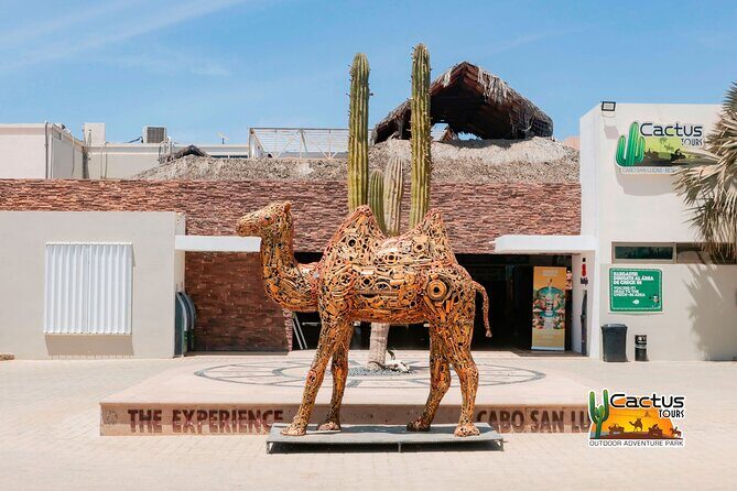 Beach and Desert Mini Razor Tour in Cabo - The Downsides and Considerations