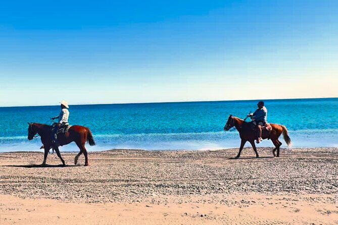 Beach and Desert Scenic Horseback Ride in Baja California Sur - Practical Details and Considerations