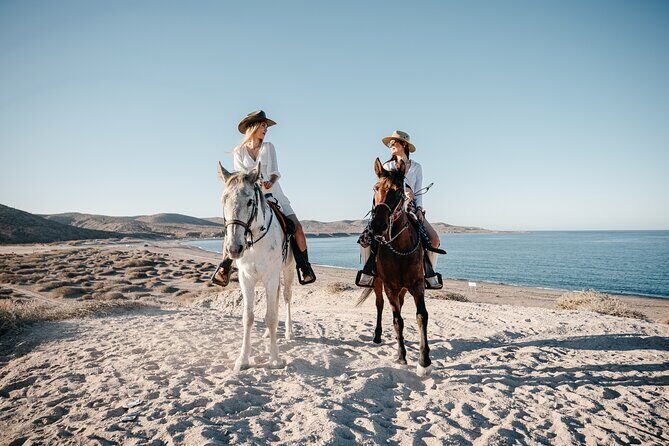 Beach and Desert Scenic Horseback Ride in Baja California Sur - Who Should Consider This Tour?