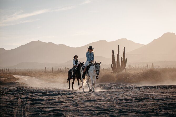 Beach and Desert Scenic Horseback Ride in Baja California Sur - Final Thoughts