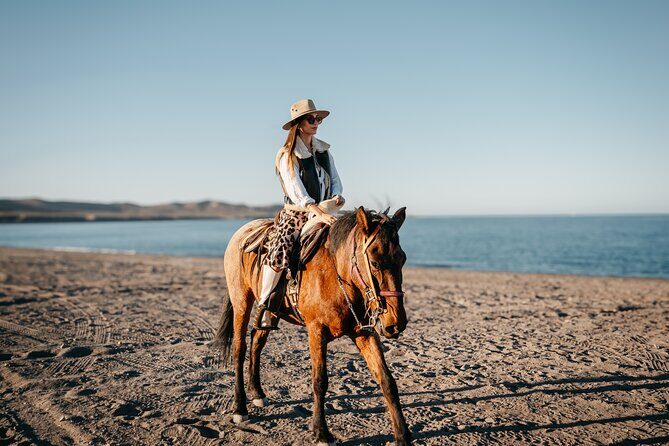 Beach and Desert Scenic Horseback Ride in Baja California Sur - FAQs