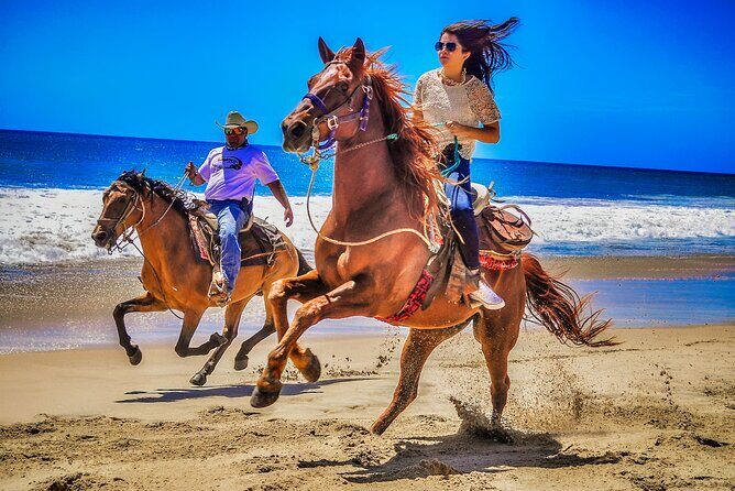 Beach and Desert UTV with Horseback Riding Experience - What to Expect from the Tour