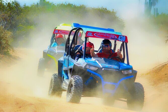 Beach and Desert UTV with Horseback Riding Experience - Authentic Traveler Feedback