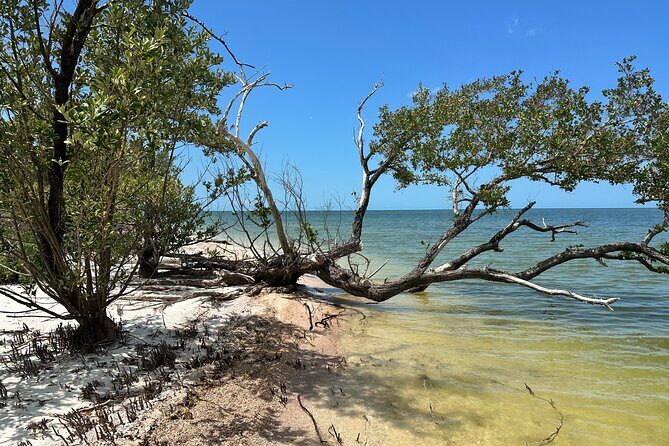 Beach and Shelling Excursion - Public - Key Points