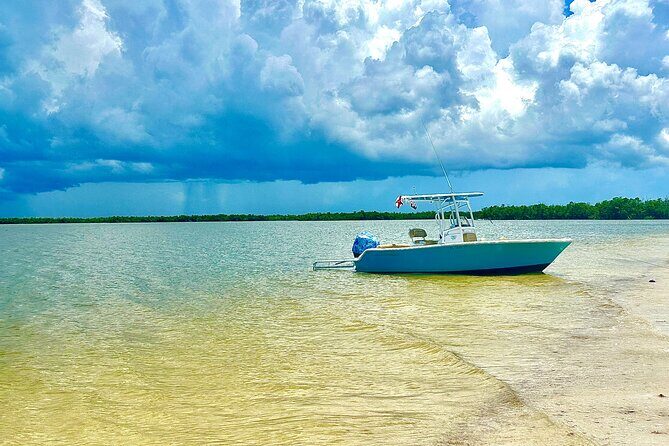 Beach and Shelling Excursion - Public - FAQ