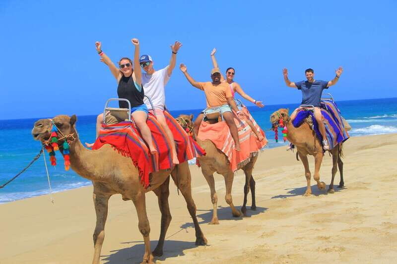 Beach ATV & Camel Ride COMBO in Cabo by Cactus Tours Park - What’s Included and What to Keep in Mind