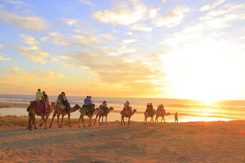 Beach ATV & Camel Ride COMBO in Cabo by Cactus Tours Park - The Experience on the Ground